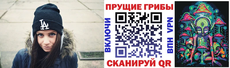 что такое   Хвалынск  Псилоцибиновые грибы ЛСД 